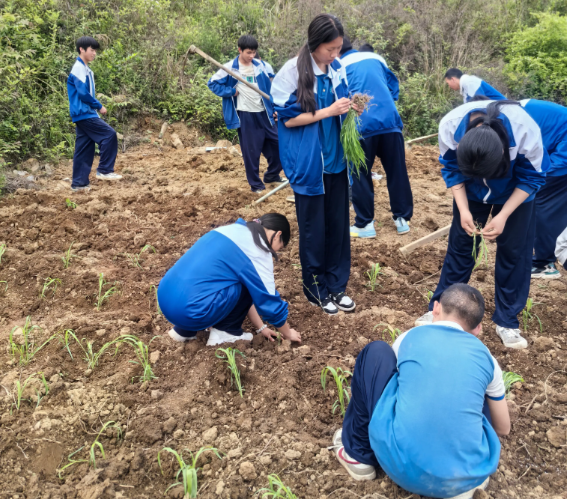 搭建实景讲堂实时收集学生劳作数据用智能点评代替纸质打分